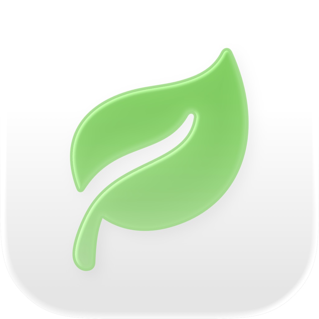 Green leaf icon for Equipe Sabor Menta